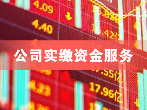 廊坊公司实缴资金服务